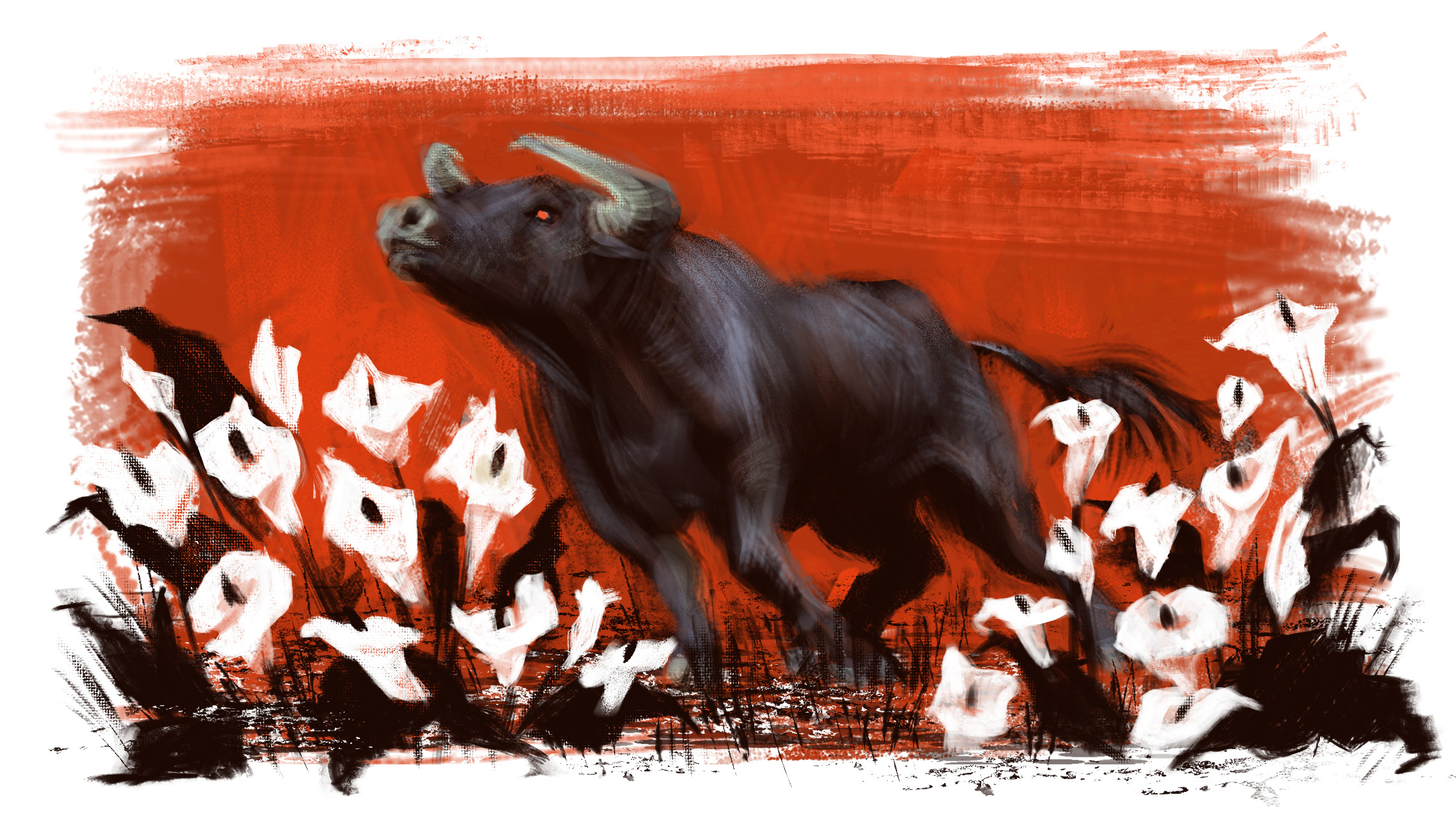 Bull and calla lily